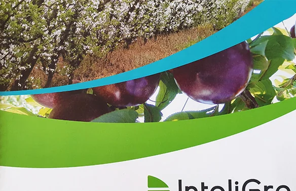Litho printing
